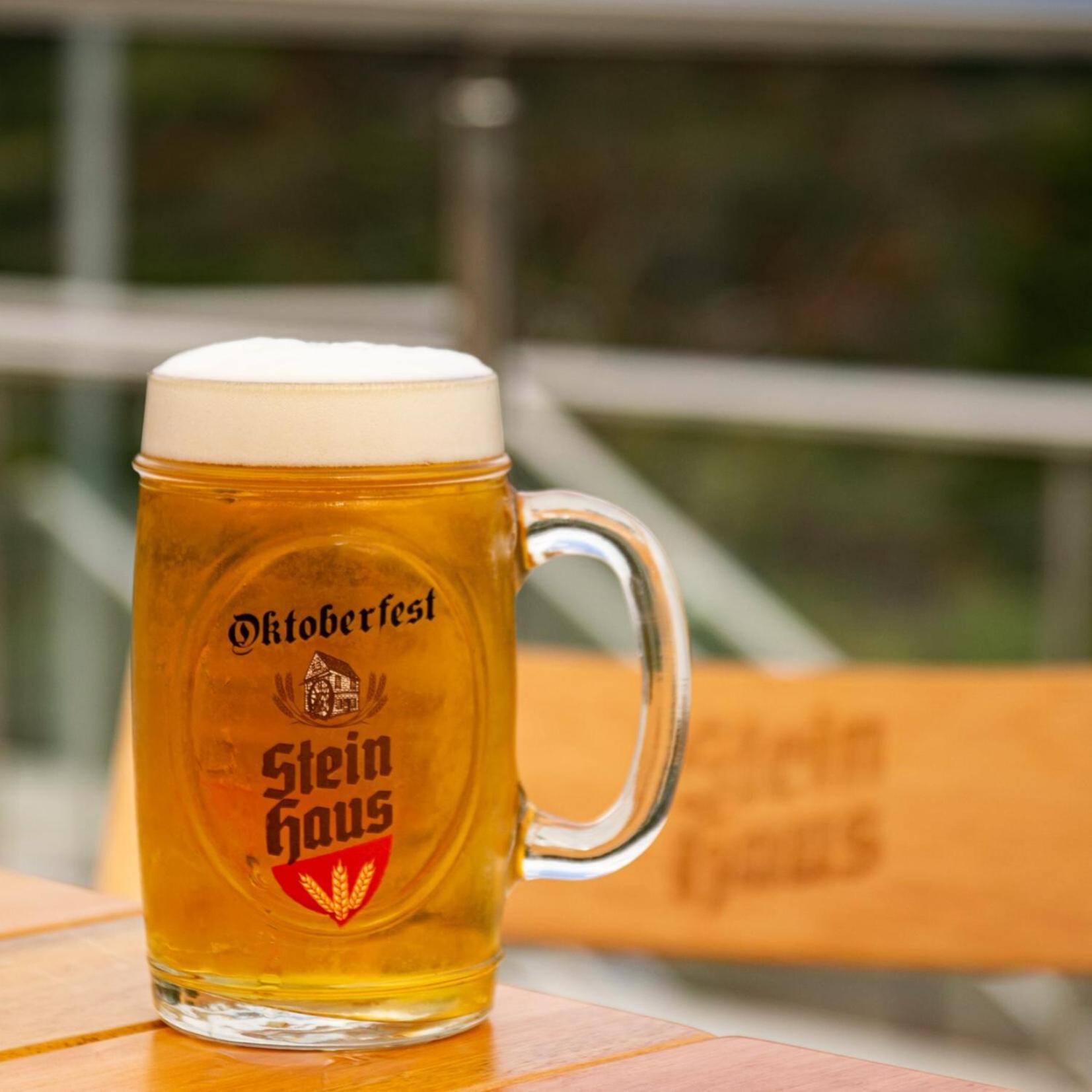Pousada Stein Haus Picada Café Eksteriør billede